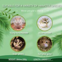 Maison de hamster petite maison de labyrinthe de hamster en bois avec toboggan amusant cabane à deux étages pour petit hamster souris rat petits animaux