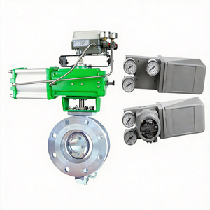Régulateur pneumatique Spiraxsarco Control Ball et régulateur Fisher DVC6200 1301F-1, booster Masoneilan 4700E BR200 - Product Image 2