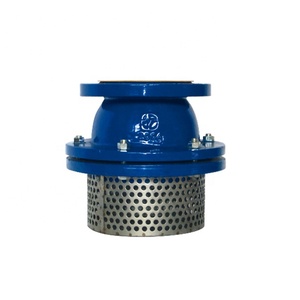 Clapet à ressort en fonte ductile avec filtre, fourni par l'usine, livraison gratuite - Product Image 4