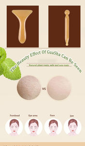 Prix de gros Acupoint Stick Massage Pen Scraping Board Catégorie - Product Image 5