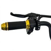 Vélo de montagne électrique pour adultes avec moteur arrière sans balais 48V, batterie au lithium double intégrée, alliage d'aluminium, 15AH, 60 km d'autonomie