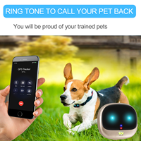 Nouveauté : Collier anti-perte pour chien et chat avec moniteur d'activité en temps réel, appel vocal, GPS intelligent 2G, mini traceur pour animaux de compagnie