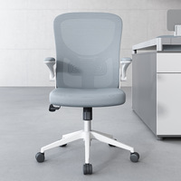 Chaise de bureau ergonomique en maille ALINUNU, capacité de charge 150 kg, pour bureau à domicile, accoudoirs rabattables, chaise en maille