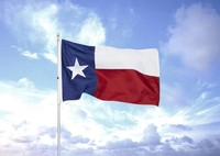 Étoiles américaines brodées 3x5ft Texas pour drapeau d'état avec œillets en laiton 210D imperméable brodé Texas pour drapeau