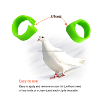 Anneaux de pattes en plastique colorés pour oiseaux, perroquets, cailles, pigeons, avec numéros