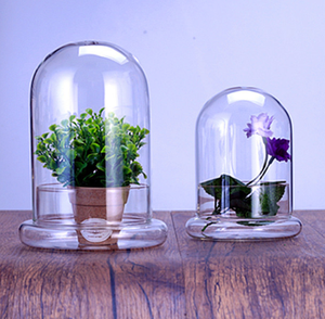 <span class=keywords><strong>DIY</strong></span> Kuppelvase aus Hochwertigem Borosilikatglas mit Glasboden für Tisch-Miniforest-Landschaften, Naturpflanzen und Moos-Dekoration - Product Image 5