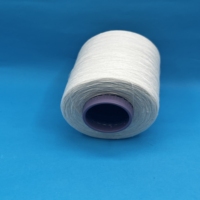 Fil de lin de haute qualité 100 % pour le tricot et le tissage