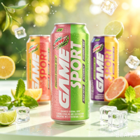 Boisson sportive isotonique pétillante certifiée HALAL, enrichie en vitamine B et électrolytes, en conserve, personnalisable OEM, marque privée