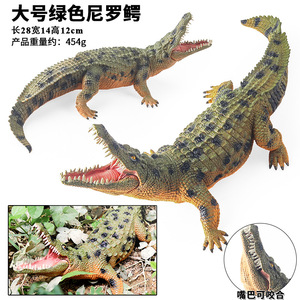 Modèles d'animaux sauvages grand format yxs : crocodile du Nil, crocodile impérial, alligator chinois, sanglier, jouets pour enfants - Product Image 3