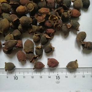 Tao jin niang crudo selvatico biologico secchi frutti interi di lanugine rosa mirto <span class=keywords><strong>frutta</strong></span> per erbe - Product Image 6
