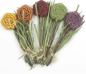 Suministros para mascotas de alta calidad, golosinas de conejo naturales, comida para Conejo, golosinas para hámster, conejo, juguete para masticar, aperitivos, pastel de hierba - Product Image 1