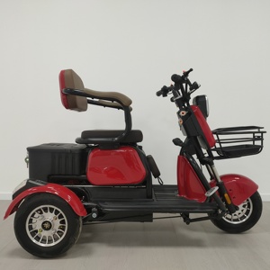 2-seater <strong>Adult</strong> Electric <strong>Tricycle</strong> Equipped with 48V500W Lead-acid Battery Available During peak Hours in the Morning and Evening - Product Image 5