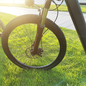 <span class=keywords><strong>Freego</strong></span> High Motor Power 600W Bicicleta eléctrica de ciudad con 21 velocidades Bicicleta eléctrica plegable para unisex - Product Image 5