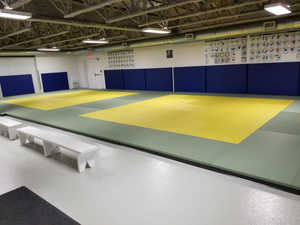 Vente en gros de certification professionnelle <span class=keywords><strong>Judo</strong></span> <span class=keywords><strong>Tatami</strong></span> <span class=keywords><strong>Judo</strong></span> <span class=keywords><strong>4</strong></span> <span class=keywords><strong>cm</strong></span> 5cm Usati Jiujitsu BJJ MMA Tapis d'entraînement - Product Image 6