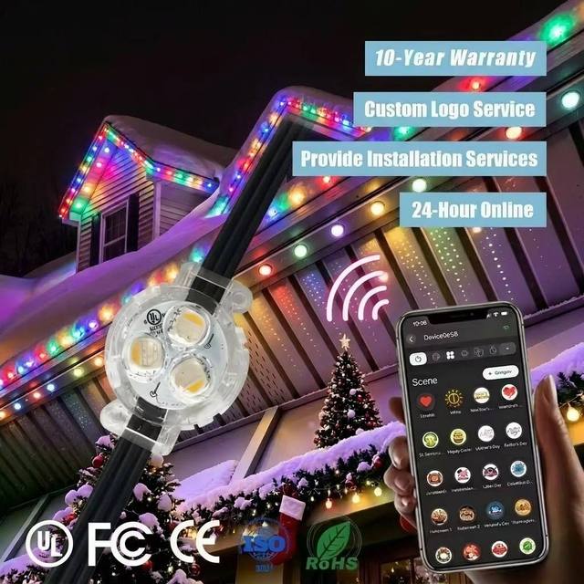 30MM 12V 24V 36V Smart WiFi Controller Rgbw Pixel Point Lights IP68 Waterproof Permanent Outdoor 3 Led Track Christmas Lighting