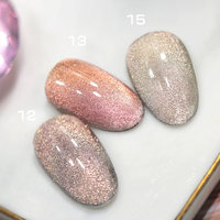 Private Label BOZLIN 17 Couleur 15ml Soak Off Semi Permanent Magnétique Cat Eye UV Gel Vernis à Ongles Kit