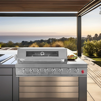 RAYLIN Cuisine Extérieure en Acier Inoxydable 304 Barbecue Intégré Robuste Étanche Gaz et Charbon de Bois Barbecue de Table