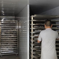 2000 kg warmtepomp elektrische commerciële industriële dehydrator fruit- en groentedroger