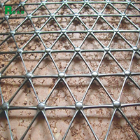 Geogrid Géogrille triaxiale de renforcement pour la stabilisation de la base et la grille de route Geogrilles Géogrille triaxiale