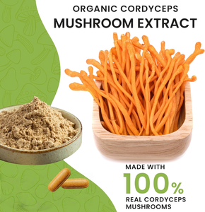 Etiqueta privada Premium Halal Suplemento Hongo Cordyceps-militaris Extracto Cordyceps Militaris Tabletas para la salud Antioxidante - Product Image 3