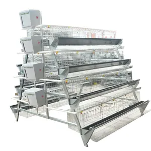 Automatic A Type 4 Tiers Layer Chicken Cage Poultry Farm Equipment For Nigeria Kenya