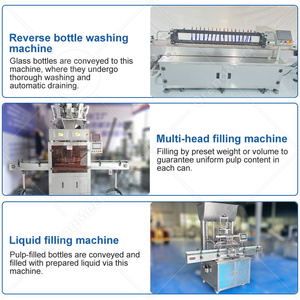 เครื่องปิดผนึกกระป๋องผลไม้พีชสีเหลือง ORME สายการผลิตสับปะรดกระป๋อง - Product Image 4