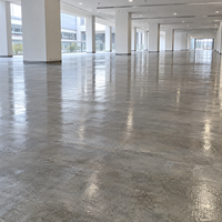 Primaire de sol pour garage privé, forte adhérence, résistant à l'usure, résistant à l'huile, séchage rapide, inodore, faible teneur en COV, OEM, vente en gros, fourniture personnalisée