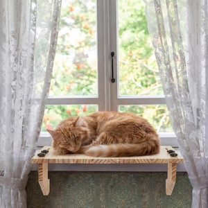 Wooden Double Layer Window Sill Extension <b>Rack</b> <b>Wall</b> Mounted Storage Shelf For Pets Plants Kitchenware Home Organizing - Product Image 1