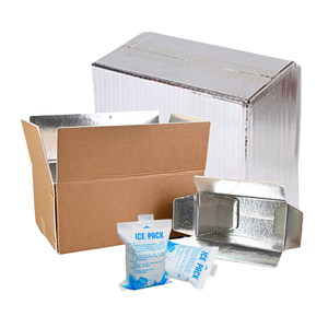 12 "* 12" * 12 "aluminized nhiệt cách điện hộp thực phẩm với nước đá cho lạnh vận chuyển Matt cán thư mục loại - Product Image 3