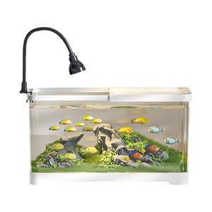Premium Nieuwe Ecologische <span class=keywords><strong>Aquarium</strong></span> Klein <span class=keywords><strong>Aquarium</strong></span> Voor Schildpadden Houden Decoratieve <span class=keywords><strong>Aquarium</strong></span> Geschikt Voor Woonkamer - Product Image 5