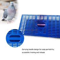 Fournitures pour pigeons de course QA Racing, cages à oiseaux en plastique, nids, paniers de transport pliables pour pigeons
