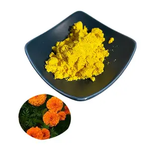 Arigold-tubo inferior eaxantina, utein owder