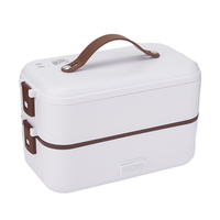 Chauffe-plat électrique 300W en acier inoxydable et plastique, 110V-220V, capacité 0,8L, pour usage domestique et extérieur, design moderne