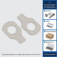 Wholesale Good Quality Stainless Steel DIN93 GB854 Sing Ear Tab Lock Washers Long Tab Washers