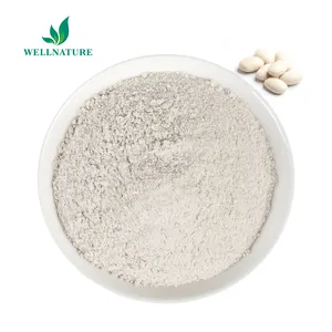 White Kidney Bean Powder 10:1 White Kidney Bean Extract 20000U Phaseolus Vulgaris Linn Extract