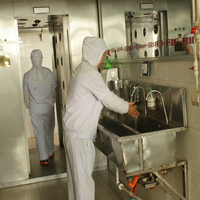 Cerneaux d'arachides bruts blanchis d'origine Shandong, faible teneur en aflatoxine, approvisionnement en vrac pour la fabrication du chocolat