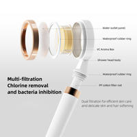 Pommeau de douche moderne à haute pression avec filtre Accessoire de robinet de salle de bain de style nouveau qui peut déchlorer et purifier l'eau