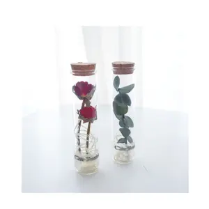 סיטונאי נצחי יבש פרח ב זכוכית בקבוק כיפת עבור ערכות מתנה