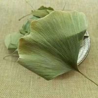 Ginkgo-Blatt