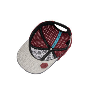 Gorra de Golf Impermeable TCAP China Personalizada para Hombre, de 6 Paneles, con Orificios Perforados y Corte Láser - Product Image 6