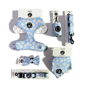 Accessoires de boutique pour chiens : Emballage en carton pour harnais et gilet pour chiot, assorti au collier et à la laisse, carte personnalisée de créateur - Product Image 3