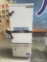 WANHENG Nouvel Équipement de Cuisine Professionnel à Énergie Renouvelable en Acier Inoxydable 304 Épaissi, Chauffage par Convection Entièrement Automatique à 12 Niveaux