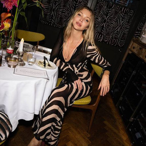 V-neck Long Sleeve Sheer Zebra Print Evening Dress Full Length Slim Fit Fashionable Transparent Dress - Product Image 4