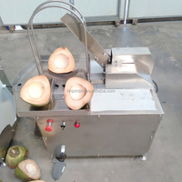 Machine d'extraction d'eau de coco, machine à peler en acier inoxydable, découpe laser, séparateur, petite échelle, collecte de jus, traitement