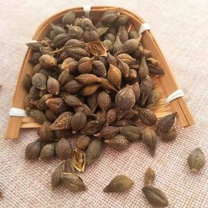 Лянь Цяо, Китайская традиционная сушеная форзиция, фруктовая трава, необработанный чай, экстракт - Product Image 2