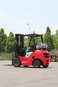 Вилочные погрузчики CE1T/2T/3T/5T с бензиновым двигателем для высокой эффективности работы на фермах и в заводах - Product Image 2