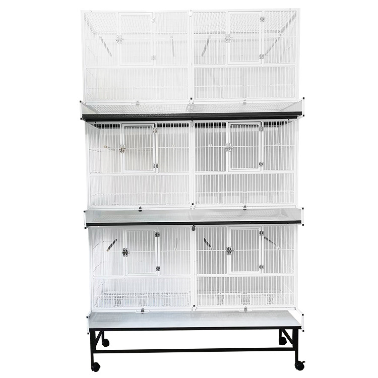 Diseño de papel en rollo blanco