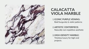 โต๊ะกาแฟหินอ่อน Calacatta Viola หรูหราจาก YDSTONE หินธรรมชาติสีม่วงสไตล์อิตาลีทันสมัย ทนทาน ตกแต่งภายในอย่างมีระดับ - Product Image 2