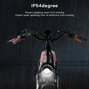 <span class=keywords><strong>Bezior</strong></span> XF001 luxe classique électrique rétro vélo 1000W puissant cadre en alliage d'aluminium chargeur USB 48V 350W 20*4.0 graisse de pneu - Product Image 5