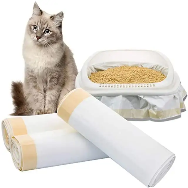 Kitty kum kabı gömlekleri büyük İpli kedi Pan çanta